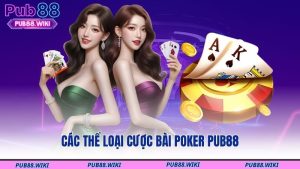 Các thể loại cược bài Poker PUB88