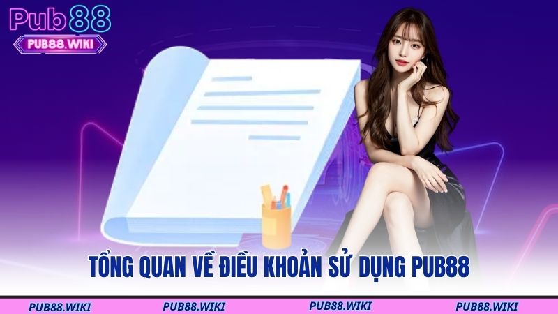 Tổng quan về điều khoản sử dụng PUB88